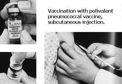 VACCINATION